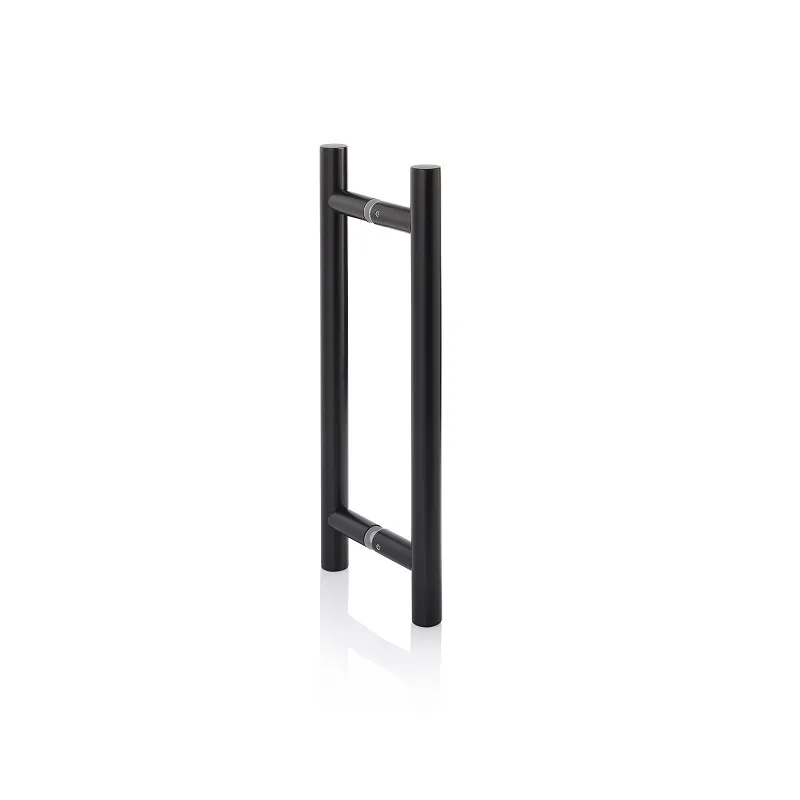 Mini_Premium_black.webp