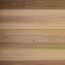 Western Red Cedar Saunaschroten STS5 16*145 - 2450 mm